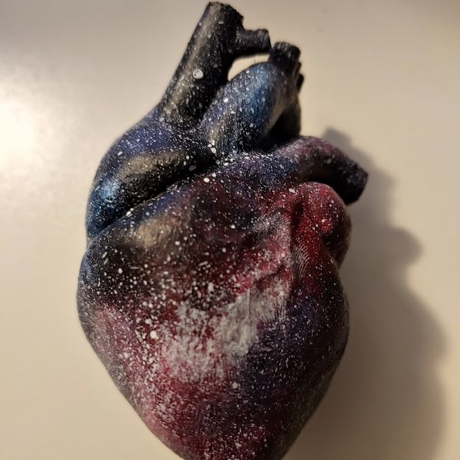 blue, black, and red 3d printed human heart