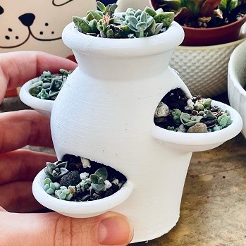 white 3d printed succulent pot