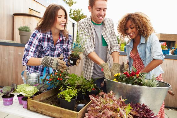 Image for event: Container Gardening: Planting for Flowers, Foliage, and Food (Adults)