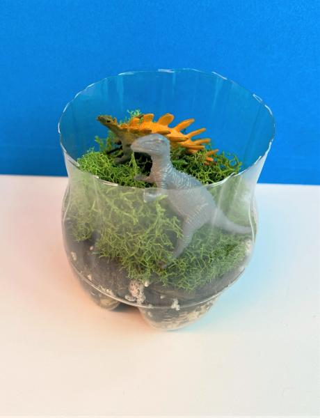 Image for event: Dinosaur Terrariums (All Ages)