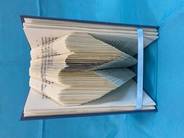 Image for event: IN-PERSON Love Your Library: Book Folding