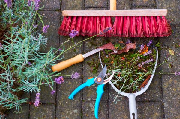 Image for event: Putting Your Garden to Bed (Adults)