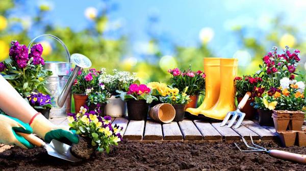 Image for event: Prepping Your Garden for Spring (Adults)