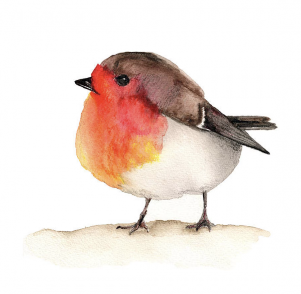 Image for event: Watercolor Painting: Bird Duo (Adults)